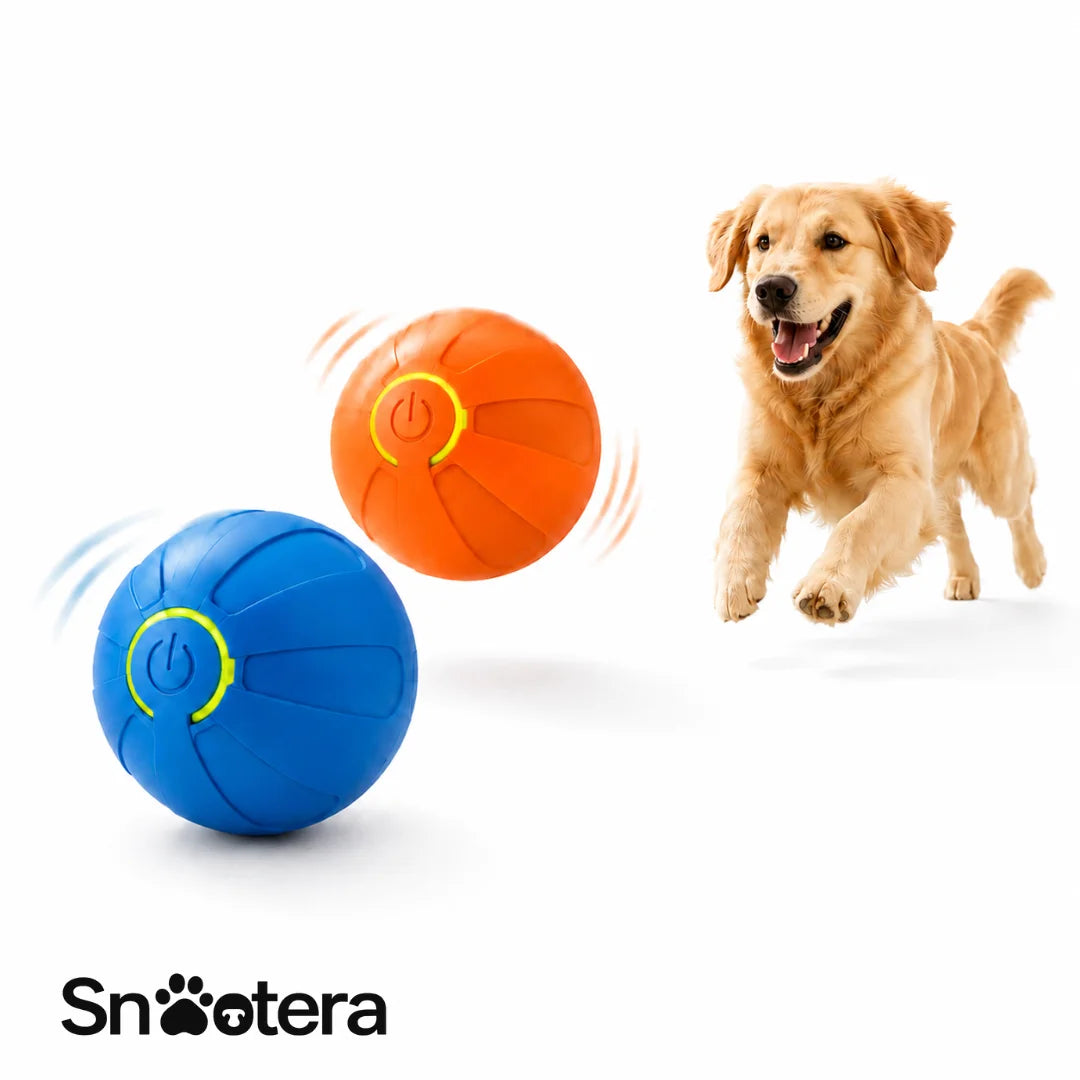 BounceBuddy™