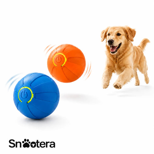 BounceBuddy™