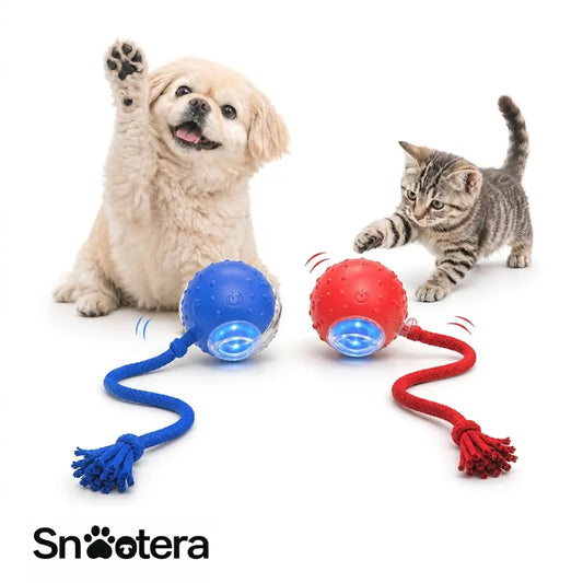 SmartPlay Ball™